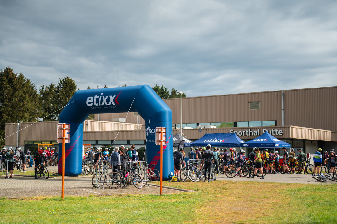 PlugPlug Scheldeland 2026